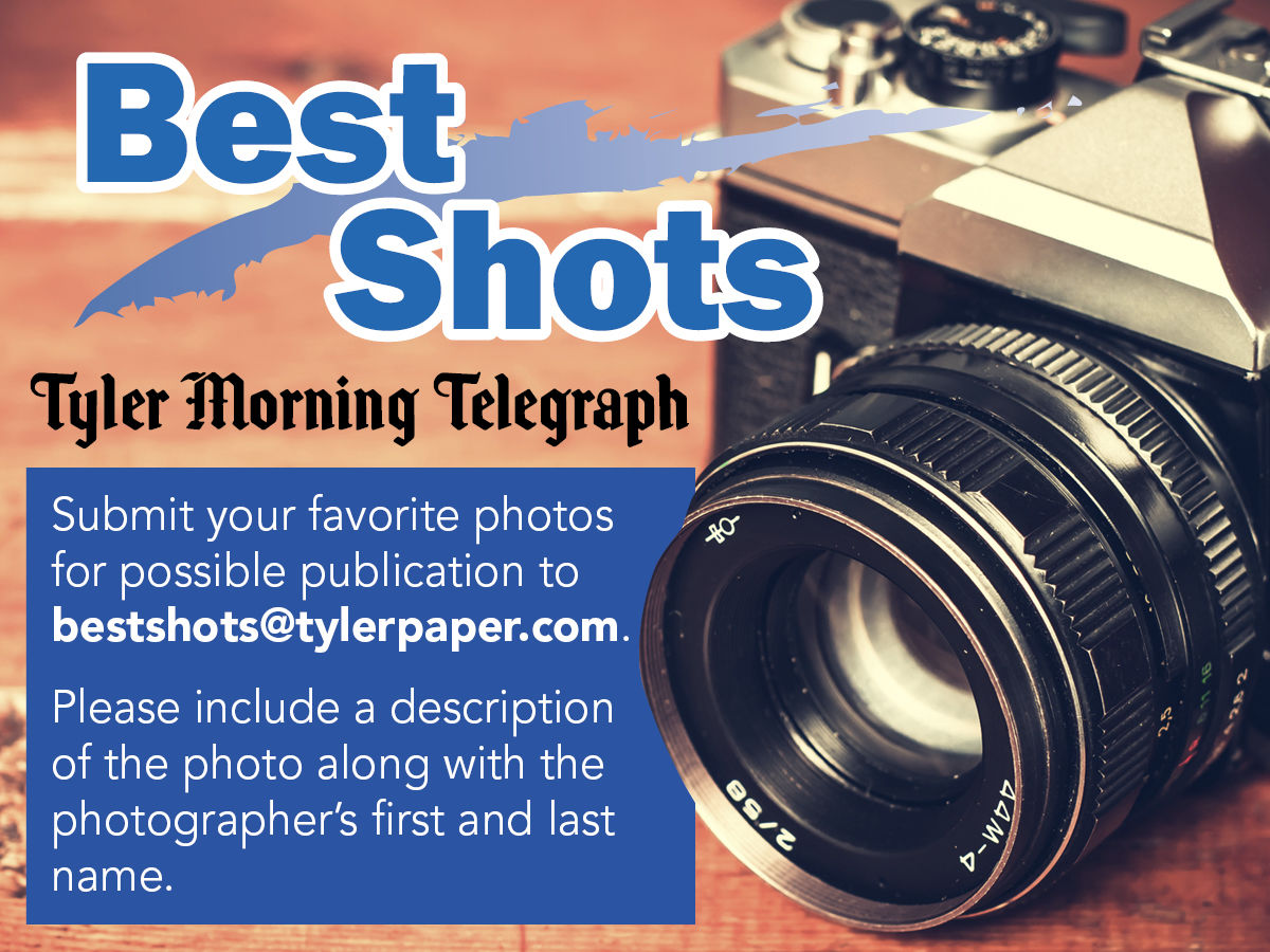 Best Shots 1200x900.jpg